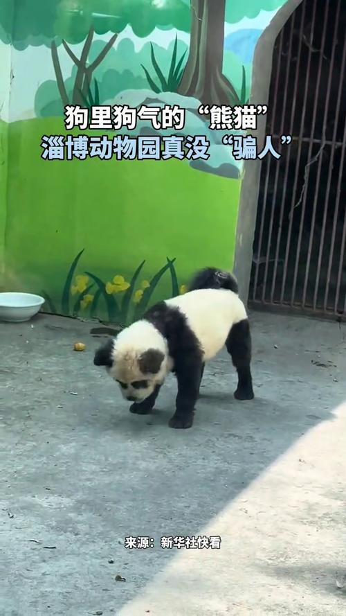 新闻中心 第12页
