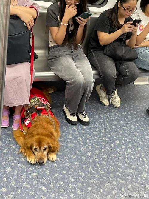 admin 第8页